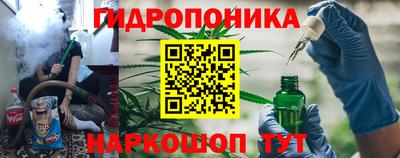 крисы Кунгур