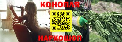 крисы Кунгур