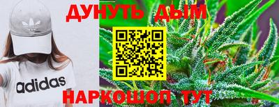 гашик Кулебаки