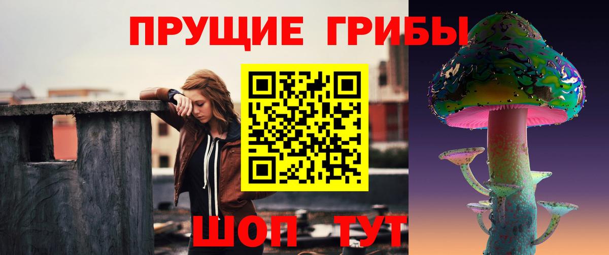 Галлюциногенные грибы мицелий Звенигород