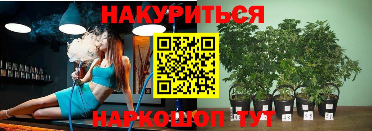 Бошки Шишки ГИДРОПОН  Бошки марихуана LSD WEED  Вход с VPN  Марихуана LSD WEED  Звенигород 